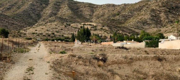 Земельный участок 12299м² в Аспе, Испания № 98194 7