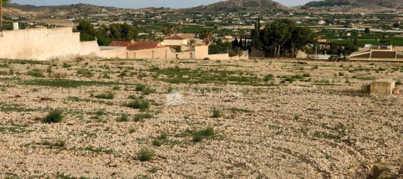 Земельный участок 12299м² в Аспе, Испания № 98194 8