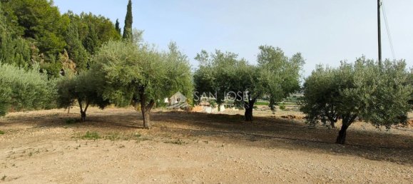 Земельный участок 12299м² в Аспе, Испания № 98194 15