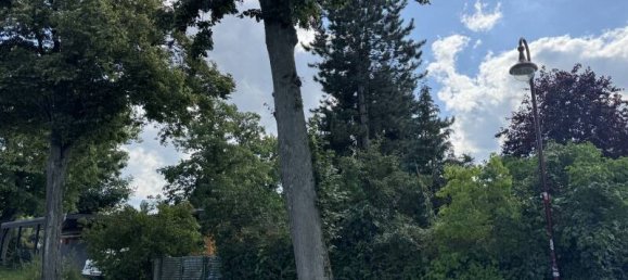  Land in Markisch-Oderland, Germany No. 355009 4