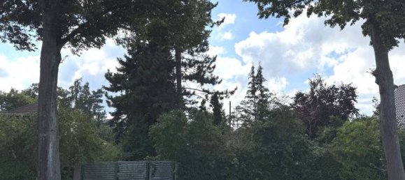  Land in Markisch-Oderland, Germany No. 355009 3