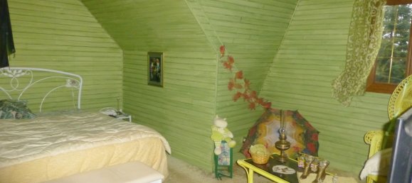 4 Schlafzimmer Haus in Chateauneuf-sur-Loire, France, Nr. 101016 10