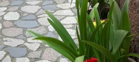 8-Zimmer Haus in Carrara, Italy, Nr. 45821 12