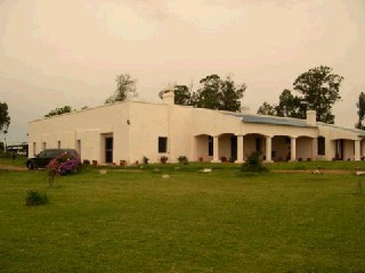  Farm in Maldonado, Uruguay No. 14096