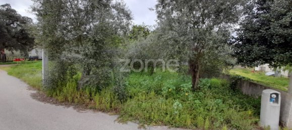 Grundstück in Avelas de Cima, Portugal 35m², Nr. 78619 5