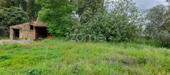 Grundstück in Avelas de Cima, Portugal 35m², Nr. 78619 12