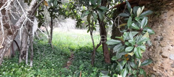 Grundstück in Avelas de Cima, Portugal 35m², Nr. 78619 10