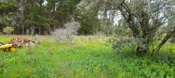 Grundstück in Avelas de Cima, Portugal 35m², Nr. 78619 9
