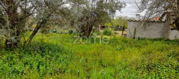 Grundstück in Avelas de Cima, Portugal 35m², Nr. 78619 11