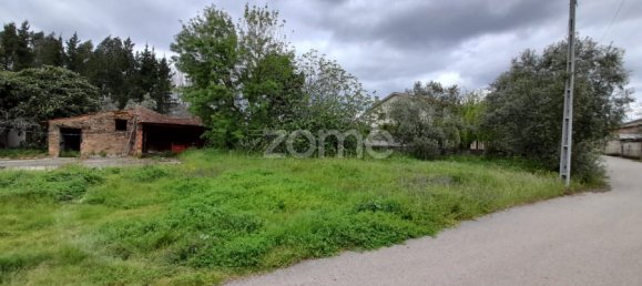 Grundstück in Avelas de Cima, Portugal 35m², Nr. 78619 7