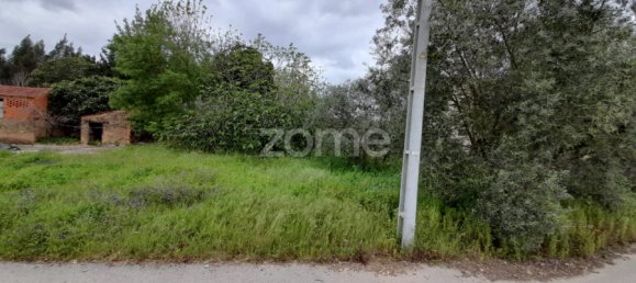 Grundstück in Avelas de Cima, Portugal 35m², Nr. 78619 4