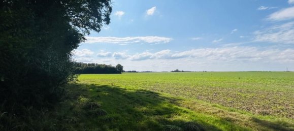 5 bedrooms House in Courtenay, France No. 243675 16