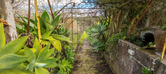 6 bedrooms House in Setubal, Portugal No. 146416 27