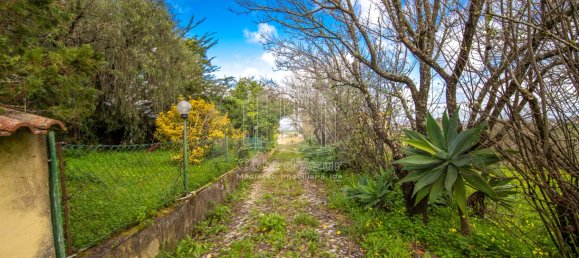 6 bedrooms House in Setubal, Portugal No. 146416 26