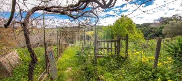 6 bedrooms House in Setubal, Portugal No. 146416 28