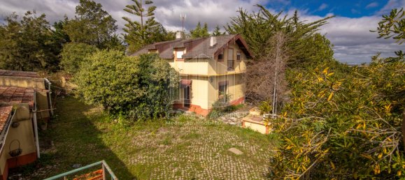 6 bedrooms House in Setubal, Portugal No. 146416 5