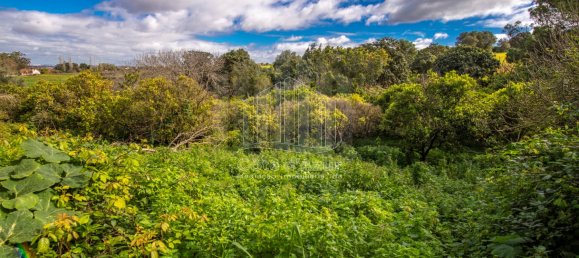 6 bedrooms House in Setubal, Portugal No. 146416 32