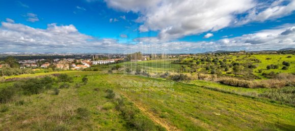 6 bedrooms House in Setubal, Portugal No. 146416 16