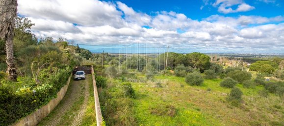 6 bedrooms House in Setubal, Portugal No. 146416 14