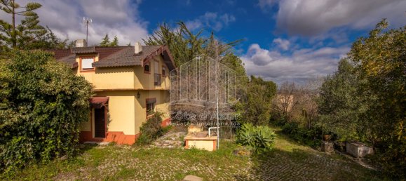 6 bedrooms House in Setubal, Portugal No. 146416 4