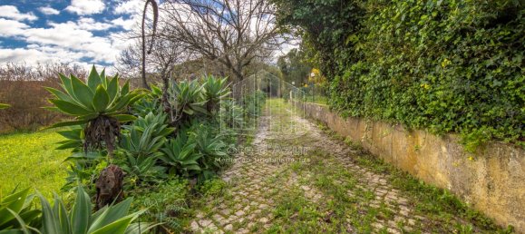 6 bedrooms House in Setubal, Portugal No. 146416 22