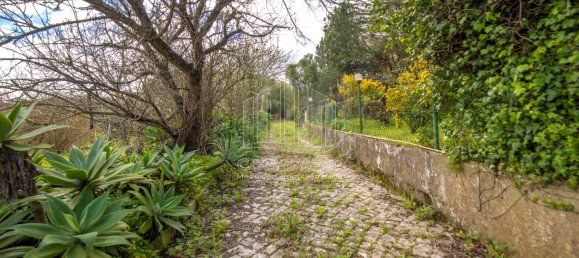 6 bedrooms House in Setubal, Portugal No. 146416 23