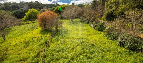 6 bedrooms House in Setubal, Portugal No. 146416 21