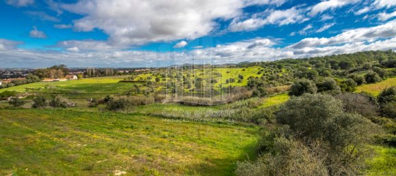 6 bedrooms House in Setubal, Portugal No. 146416 18