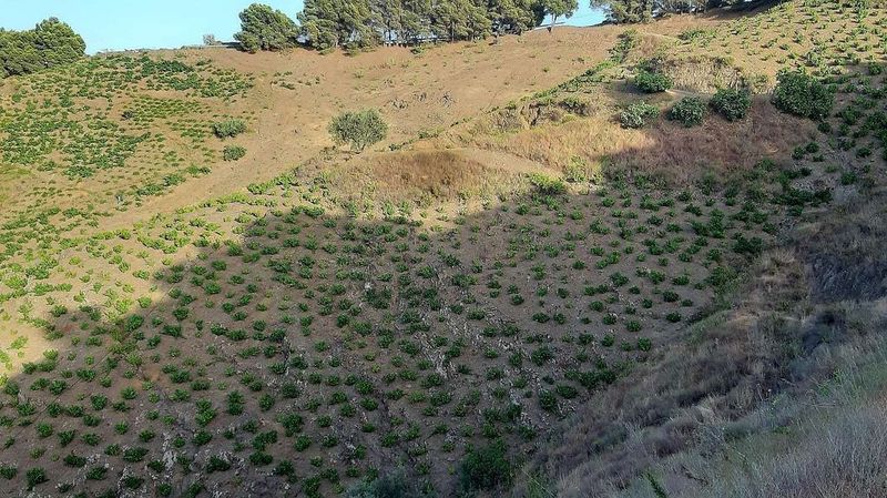 Grundstück in Almachar, Spain 15000m², Nr. 223776