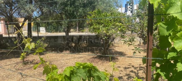 3 غرف نوم منزل في Ferreiras, Portugal رقم 160305 12