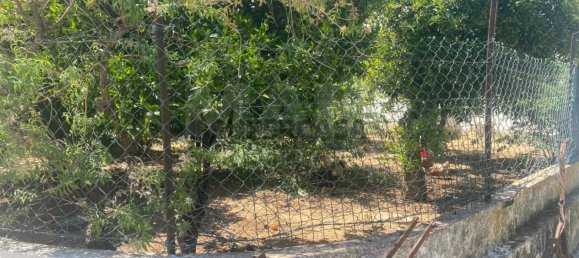 3 غرف نوم منزل في Ferreiras, Portugal رقم 160305 14