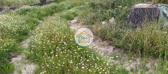 Terreno em Barcelos, Portugal 3556 m² N.º 54018 8