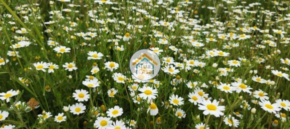 Terreno em Barcelos, Portugal 3556 m² N.º 54018 10