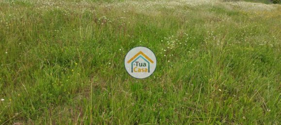 Terreno em Barcelos, Portugal 3556 m² N.º 54018 2