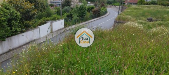 Terreno em Barcelos, Portugal 3556 m² N.º 54018 3