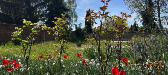 Коммерческая недвижимость с 4 спальнями в Зале, Германия № 245510 6