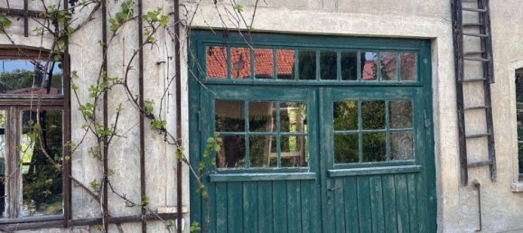 Коммерческая недвижимость с 4 спальнями в Зале, Германия № 245510 3