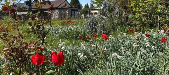 Коммерческая недвижимость с 4 спальнями в Зале, Германия № 245510 5