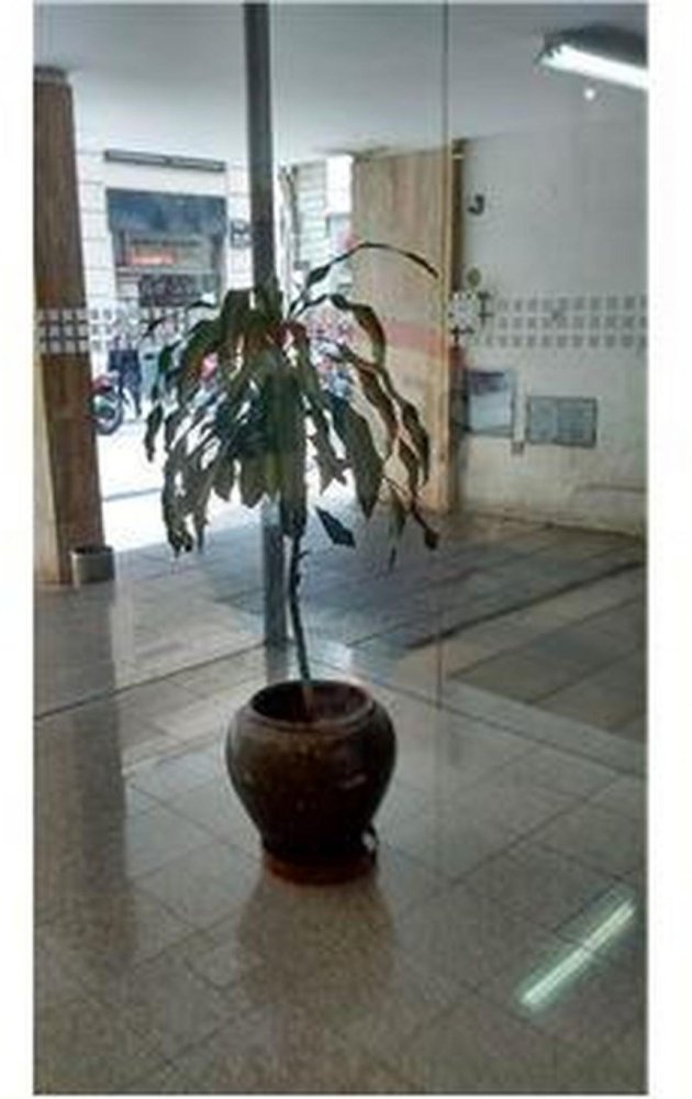 Büro in Buenos Aires, Argentina 23m², Nr. 106213