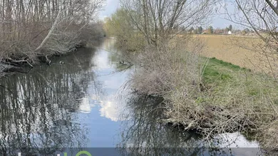 Terreno en Pottendorf, Austria No. 167256