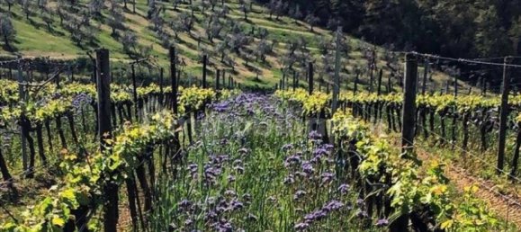 9 bedrooms Villa in Greve in Chianti, Italy No. 192502 35