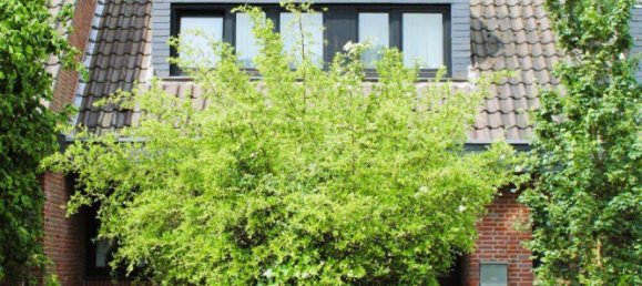 3 Schlafzimmer Stadthaus in Meerbusch, Germany, Nr. 61055 2