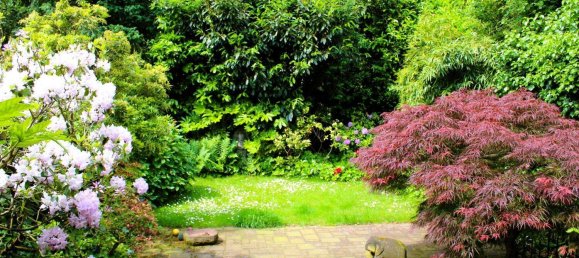 3 Schlafzimmer Stadthaus in Meerbusch, Germany, Nr. 61055 7