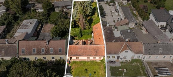  Land in Gross-Enzersdorf, Austria No. 221754 11