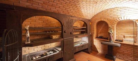 17 rooms Villa in Aschach an der Steyr, Austria No. 174615 13