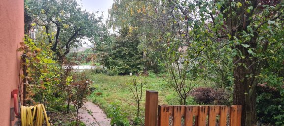 5 bedrooms House in Hettenschlag, France No. 159998 2