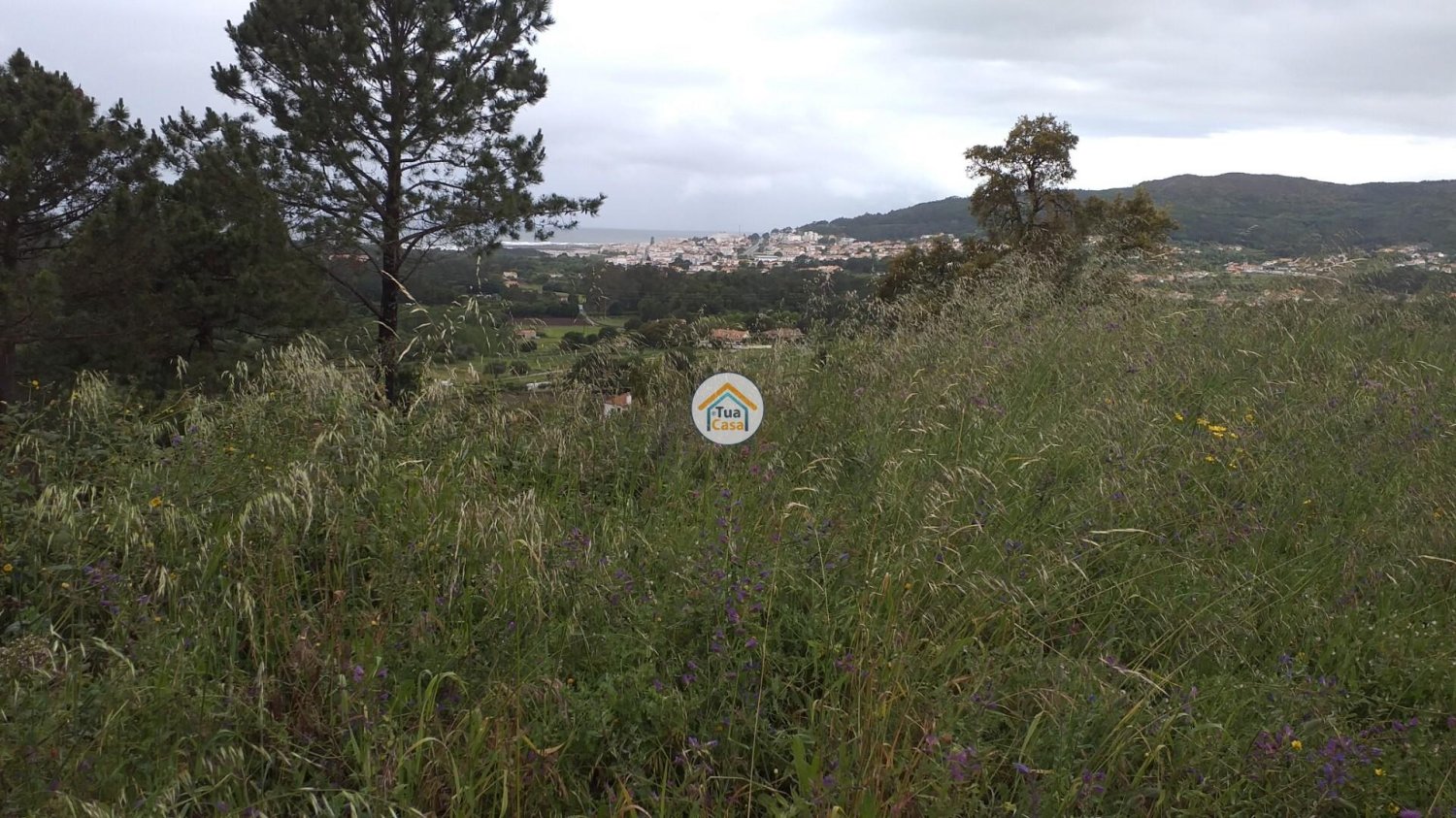 Grundstück in Caminha, Portugal 1740m², Nr. 247975