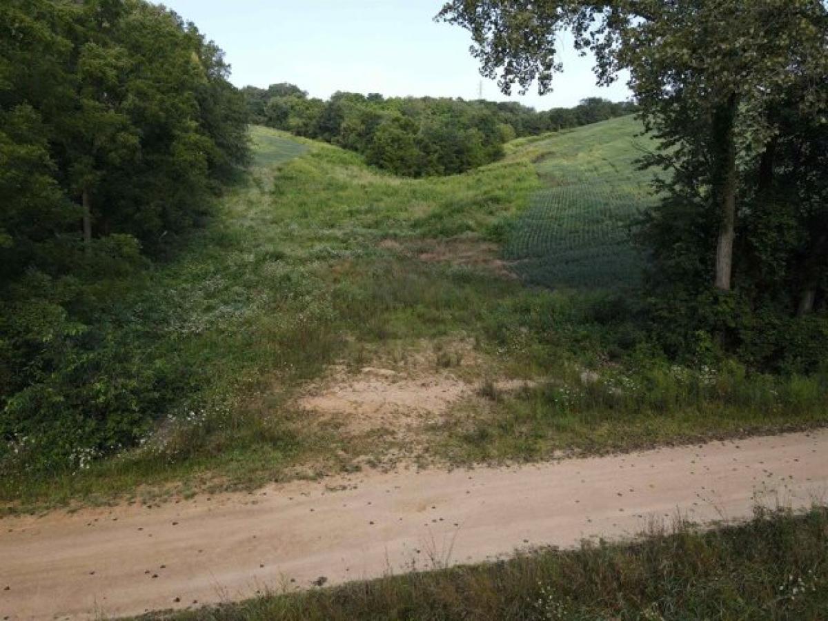  Land in East Dubuque, USA No. 492688