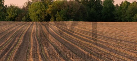 3 rooms Apartment in Legnano, Italy No. 303747 25