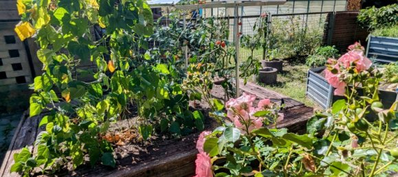 Бунгало с 6 комнатами в Бранденбург, Германия № 71022 40